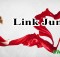 link jump